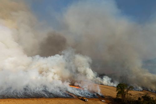 Incêndio florestal no período de estiagem atingindo propriedade rural - Triângulo Mineiro