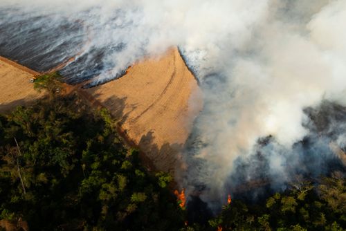 Incêndio florestal no período de estiagem atingindo propriedade rural - Triângulo Mineiro