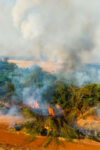 Incêndio florestal no bioma cerrado atingindo propriedade rural - período de estiagem - Triângulo Mineiro