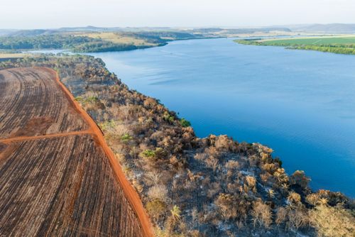 Vista de drone da mata ciliar do rio Grande queimada após incêndio florestal no período de estiagem