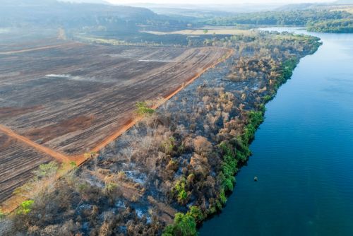 Vista de drone da mata ciliar do rio Grande queimada após incêndio florestal no período de estiagem
