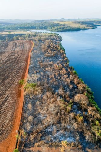 Vista de drone da mata ciliar do rio Grande queimada após incêndio florestal no período de estiagem