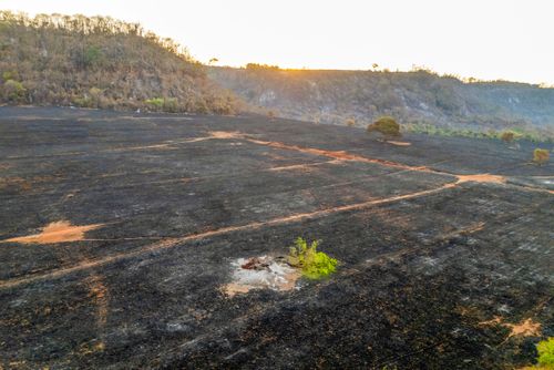 Plantação e mata nativa queimados após incêndio florestal durante a estiagem