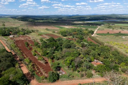 Plantação no sistema agroflorestal - Assentamento Sepé Tiaraju