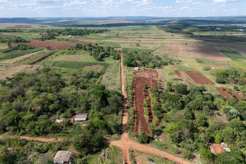 Plantação no sistema agroflorestal - Assentamento Sepé Tiaraju