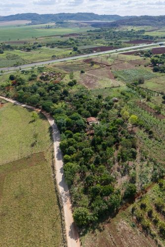 Plantação no sistema agroflorestal - Assentamento Sepé Tiaraju