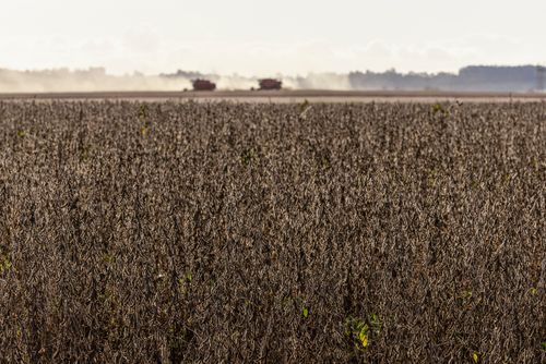 37ER074