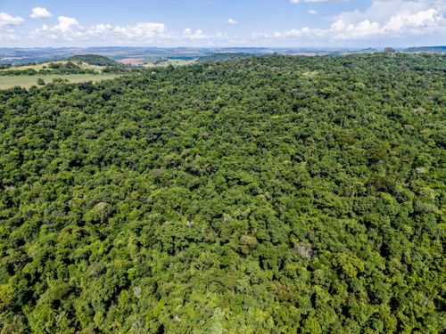 Horto Florestal | Pulsar Imagens | Banco imagens do Brasil