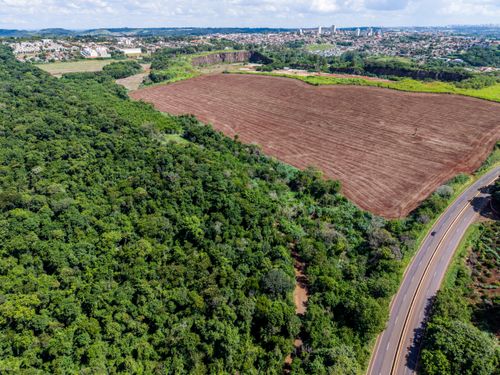 user_a6acc5f3ページ Horto Florestal | Pulsar Imagens | Banco imagens do Brasil