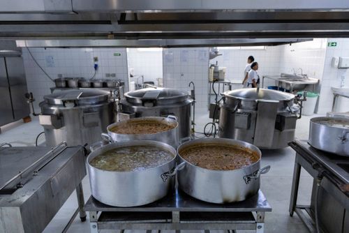 Strogonoff de frango e batatas cozinhas preparadas no restaurante de preço popular 