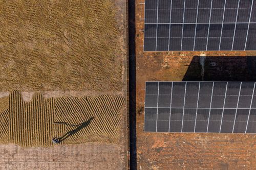 Vista de drone de trabalhador rural espalhando grãos de café em terreiro e placa solares de captação de en