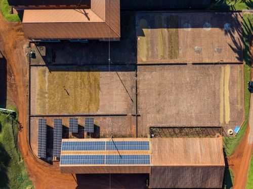 Vista de drone de terreiro de secagem de café e placa solares de captação de energia elétrica em fazenda