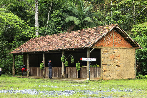 Venda de bananas e palmito em barraca no Parque Estadual de Jacupiranga -Núcleo Caverna do Diabo