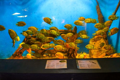 oceanário de aracajú | Pulsar Imagens | Banco imagens do Brasil