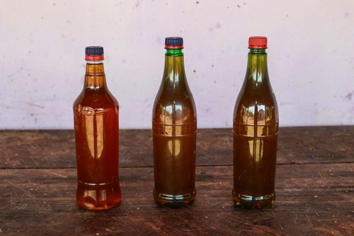Óleo extraído das sementes de coco babaçu feito artesanalmente no Quilombo Pericumã - Reserva Extrativista