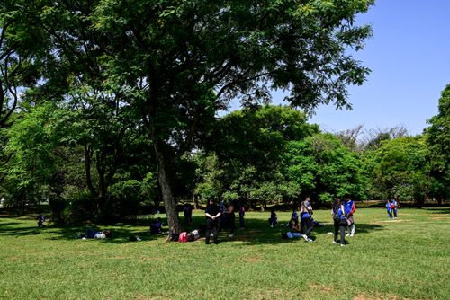 Estudantes em atividade ao ar livre no Parque Ibirapuera - bairro Vila Mariana