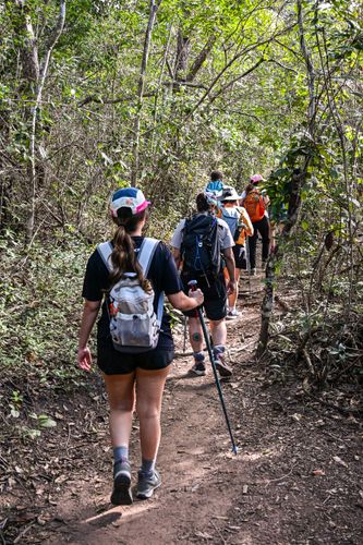 43RC909