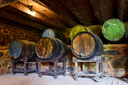 44JPR843