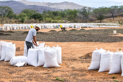 44RC014