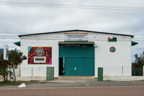 44RC081