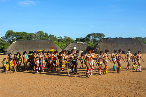 yamuricumã | Pulsar Imagens | Banco imagens do Brasil