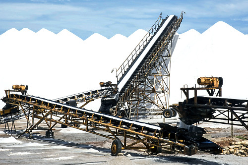 88DM955