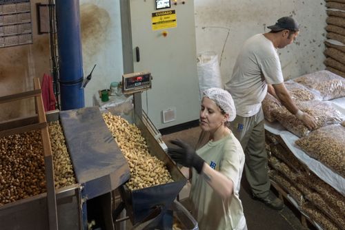 98DM838