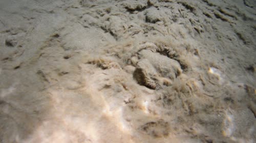 Ressurgência - vulcão de areia em fundo de rio