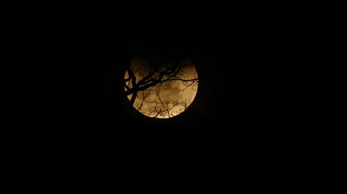 Eclipse lunar total - conhecida como lua de sangue - vista do Parque Estadual do Rio Doce